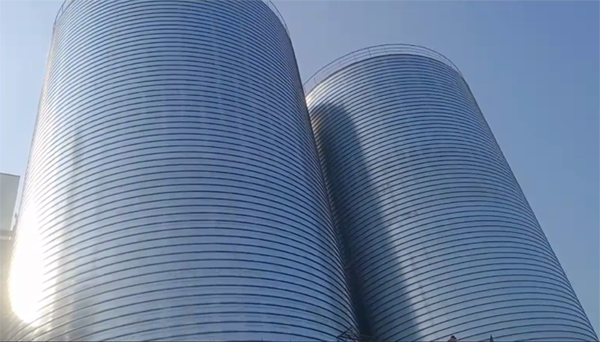 衡东2座混凝土高架卷板仓